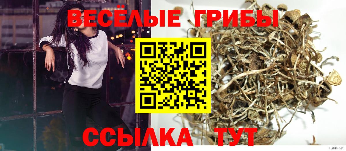 Псилоцибиновые грибы мицелий  Вход с VPN  Урай  Галлюциногенные грибы мухоморы 